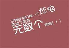 陆家闺秀免费阅读全文
